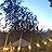 Zen Yurt